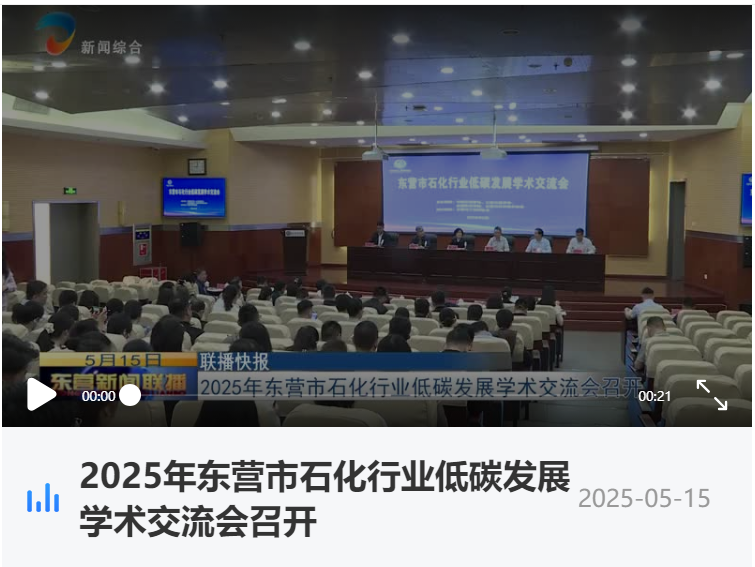 2025年东营市石化行业低碳发展学术交流会召开(1).png