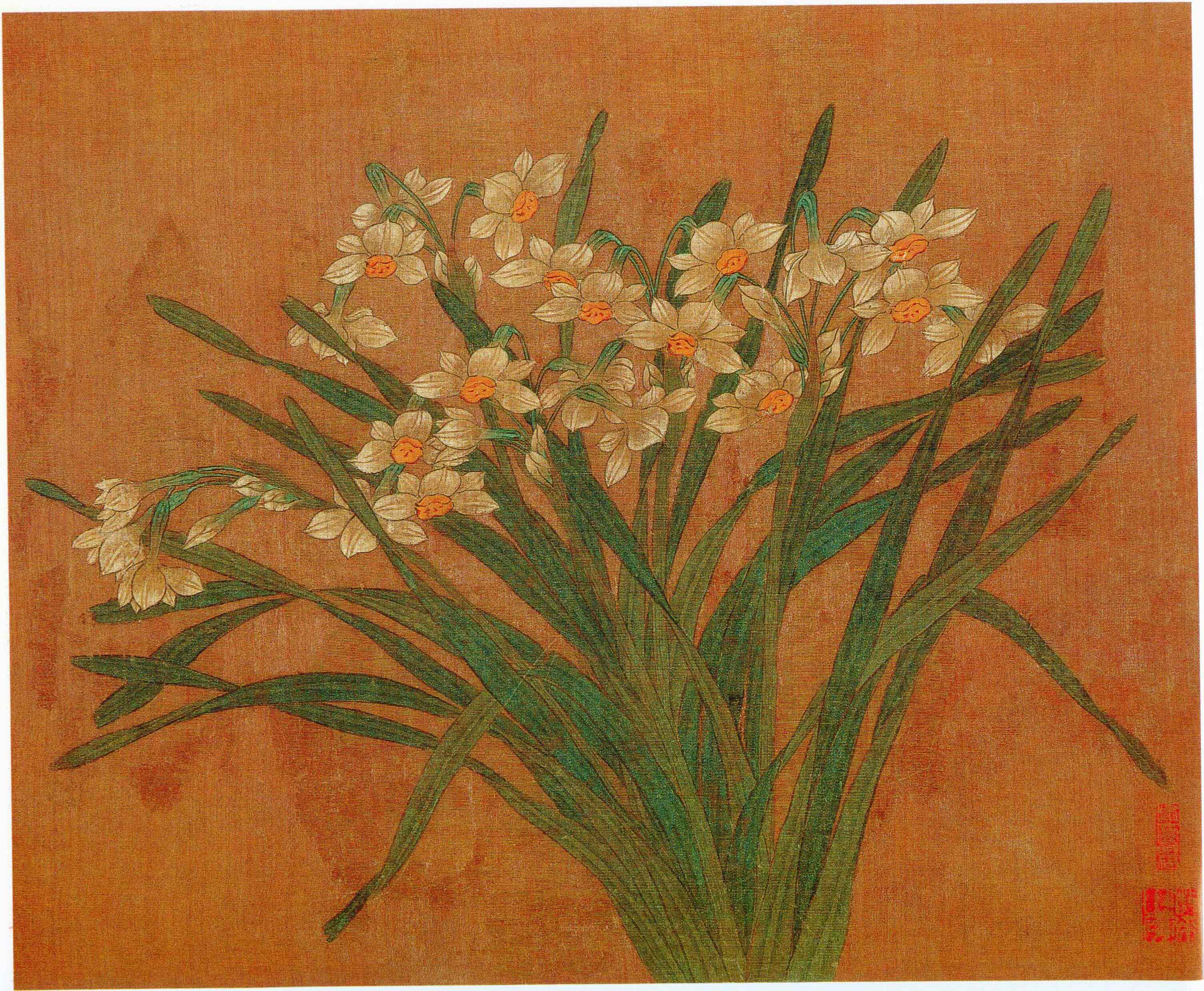 花卉写生图册