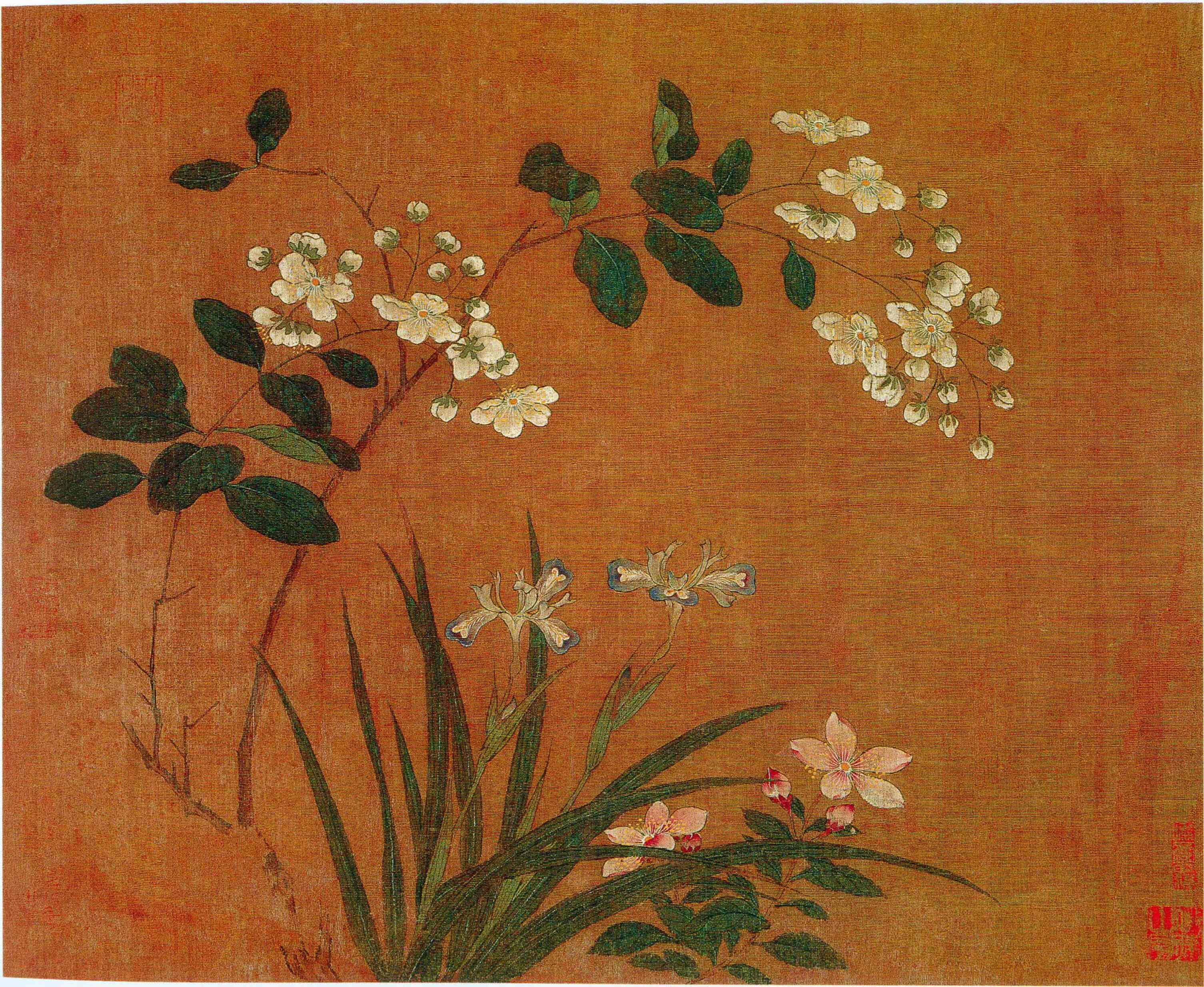 花卉写生图册