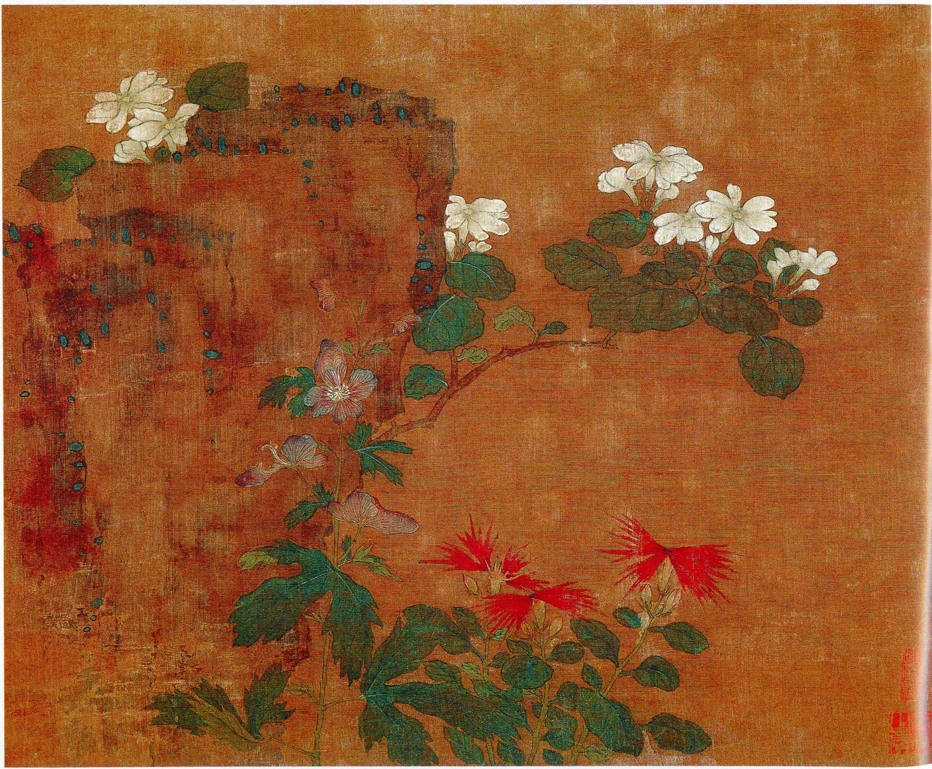 花卉写生图册